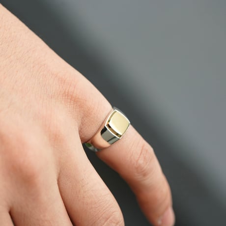 ROI RING P(M)