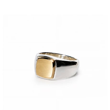 ROI RING P(M)