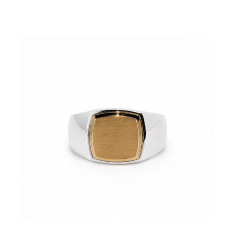 ROI RING P(M)