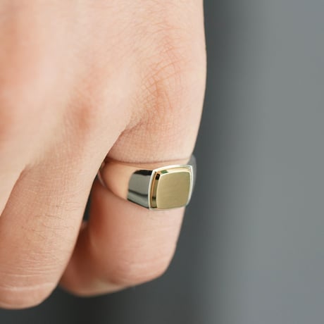 ROI RING P(M)