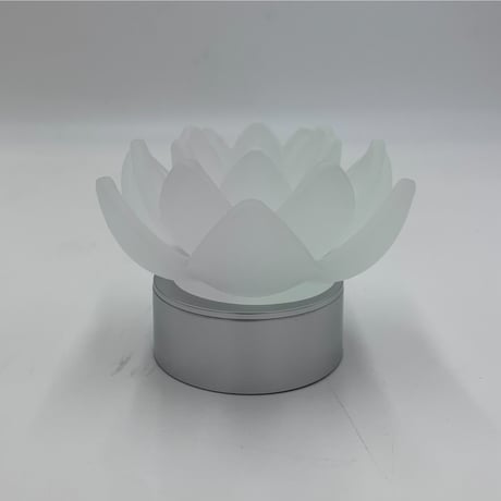 【ギフトにも最適】　新ロータス　グレイス(フロスト)　USB付