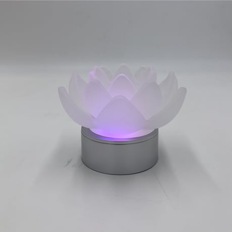 【ギフトにも最適】　新ロータス　グレイス(フロスト)　USB付