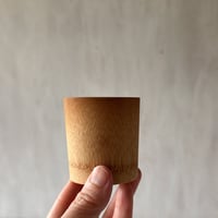 下本一歩　カップ・小