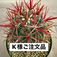 ご注文品