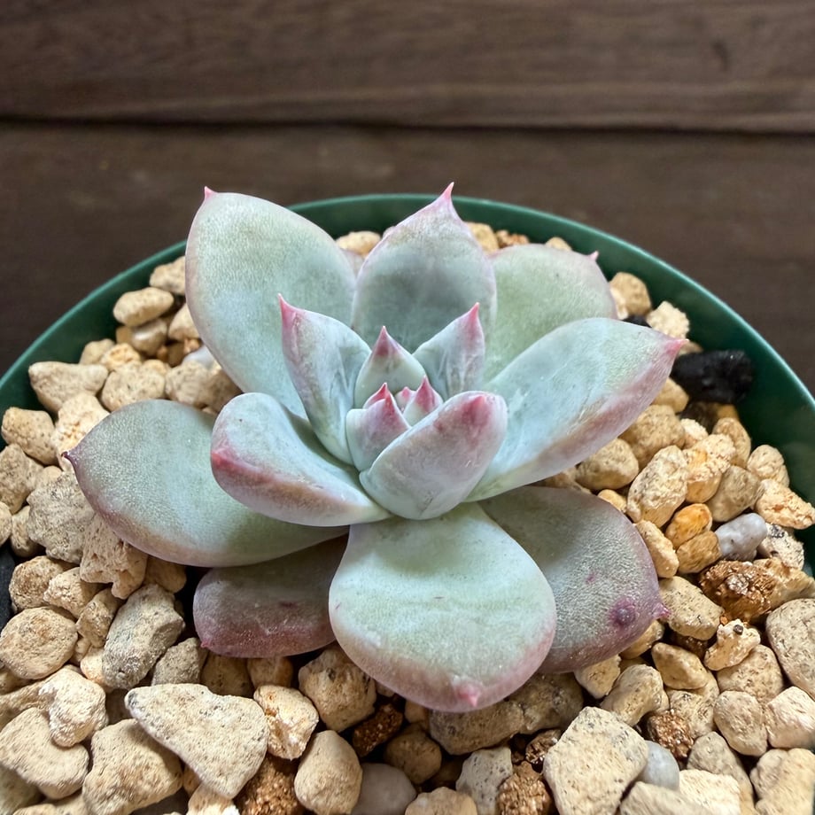 6ad95df5bb7f037937841958