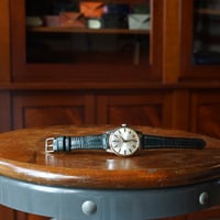 watch strap crocodile