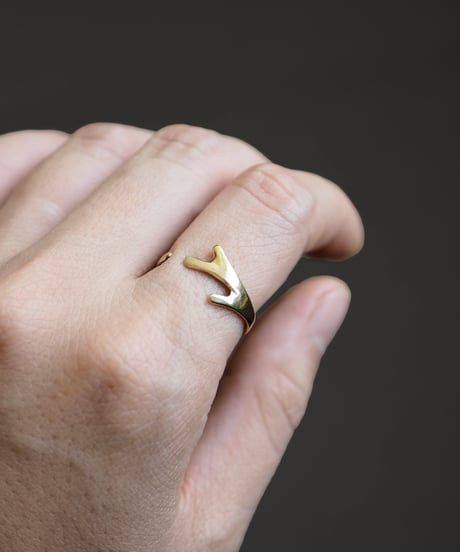 Platycerium ring (brass)