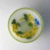 ミモザと青い鳥/作道僚子