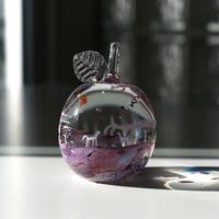 TRIP/鈴木知子  036732-1ｰ984