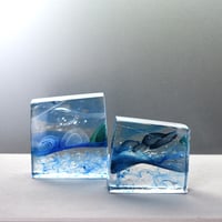 旋律/輪島明子