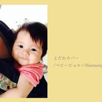 重ね合わせた優しさ/よだれカバー　＋　抱っこ紐収納カバーセット
