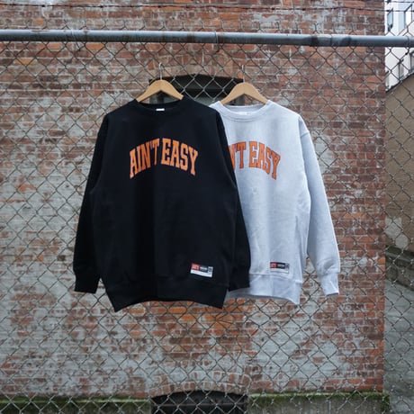 TEAM AIN'T EASY NYC CREWNECK SWEATSHIRT / Ash