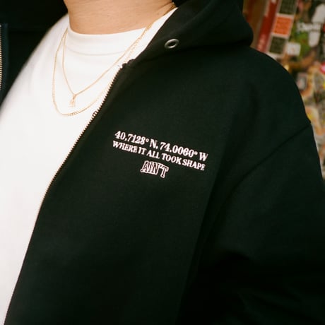 Where It All Took Shape Zip Hoodie / Black