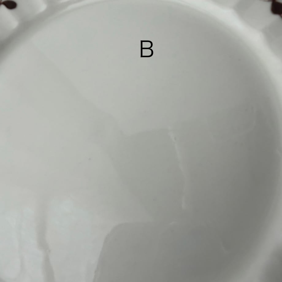6a538f473e49aa0621b09e50