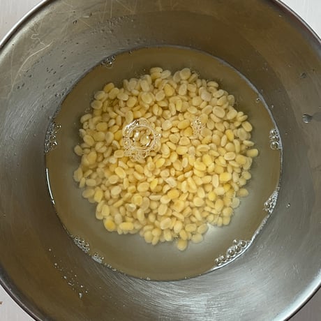スパイスレッスン買い切り版　ベジミールス回 サンバルとポリヤル ポンニライスつき