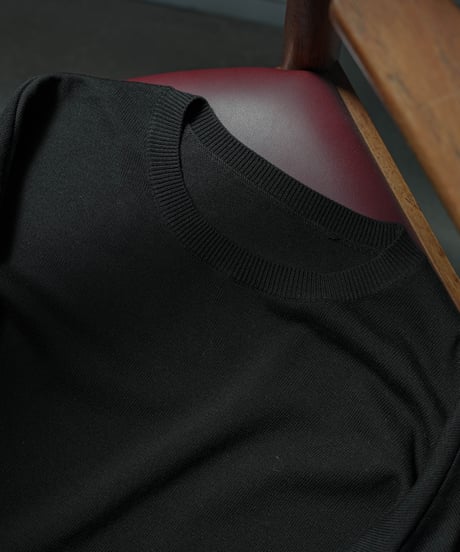 LUXURY MATERIAL SILK COTTON KNIT H/S TEE