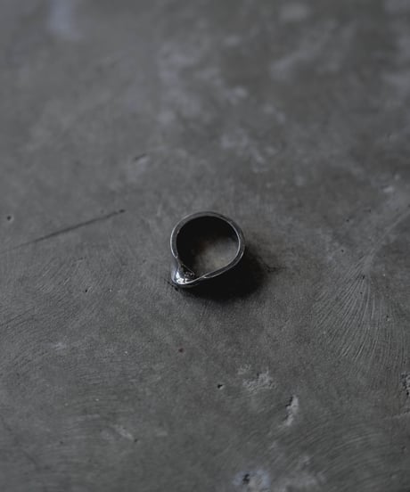 DISTORTION RING