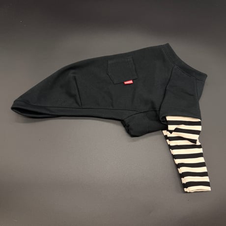 BASIC Pocket T-shirt【ロンT重ね着風】