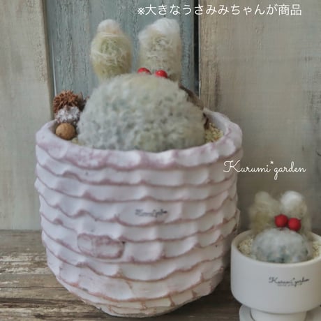 大きなうさみみちゃん🐰🍒