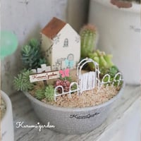 🌵サボテンの手のひらガーデンキット🌵