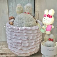 大きなうさみみちゃん🐰🍒