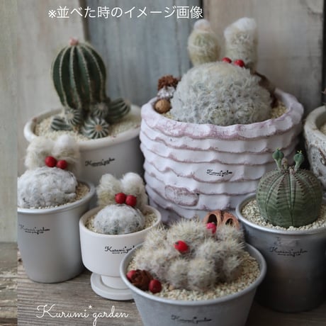 大きなうさみみちゃん🐰🍒