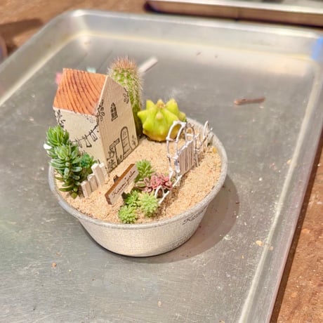 🌵サボテンの手のひらガーデンキット🌵