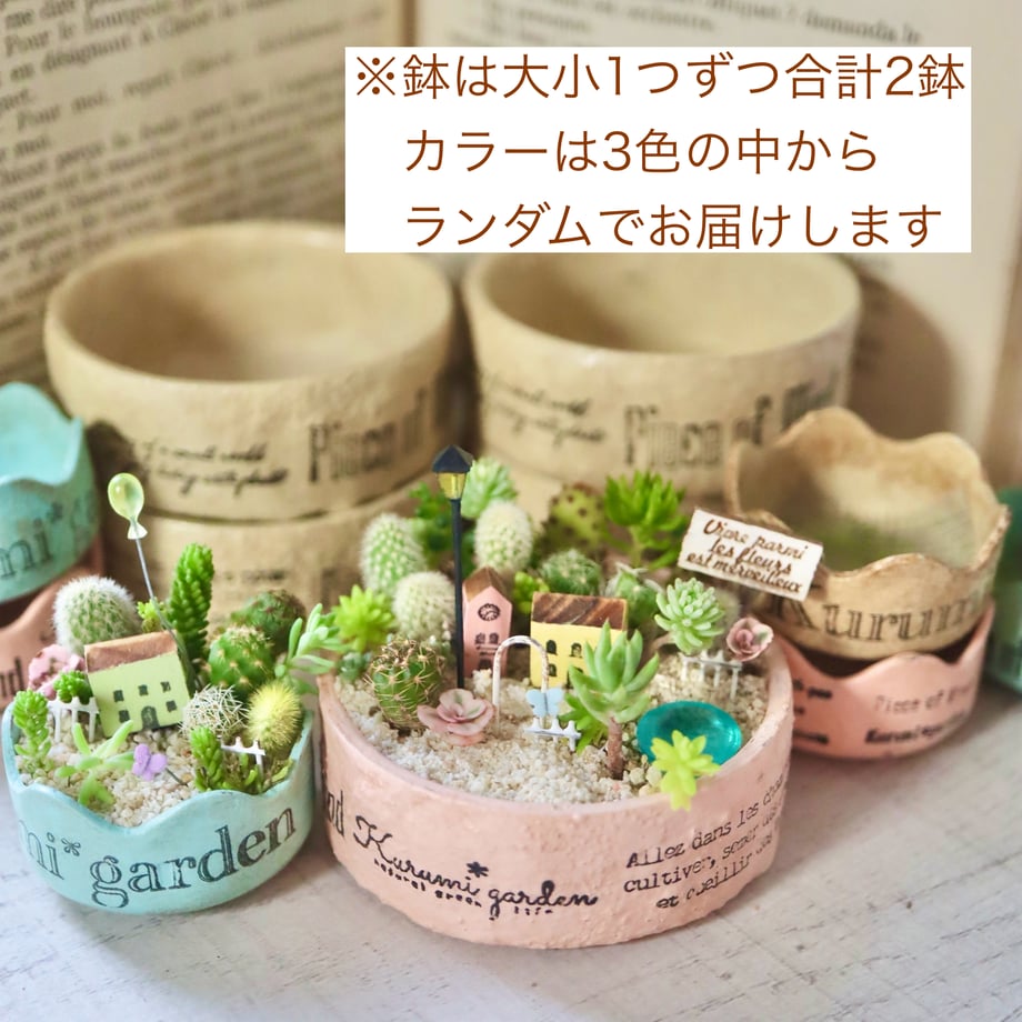 6a9051ce5d2d4e9816e29b09
