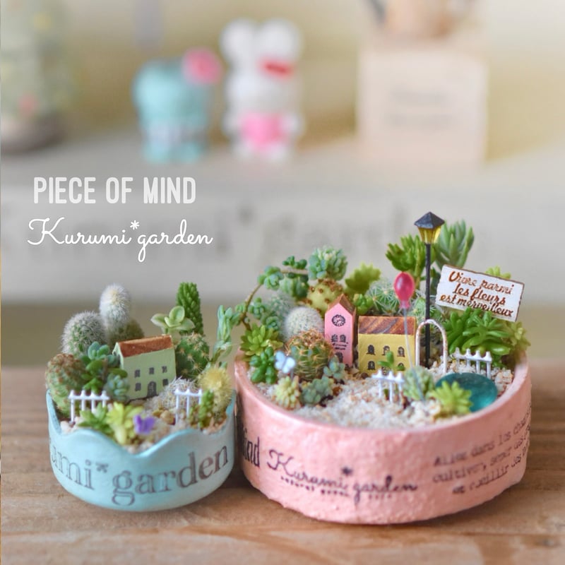 箱庭の薬術師 = Miniature garden Chemister 2/ぷ… オンラインワークショップ第2回】サボテンとセダムのミニチュア