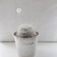 玉翁 白いバルーン付き‎🤍