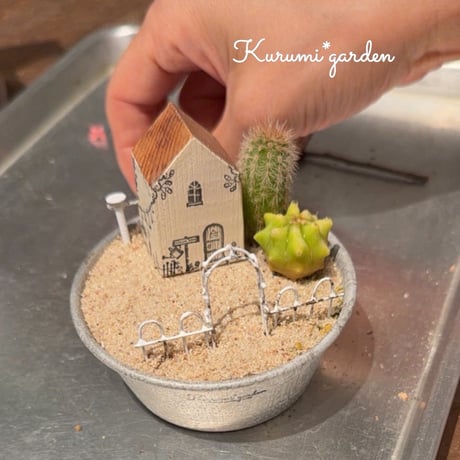 🌵サボテンの手のひらガーデンキット🌵
