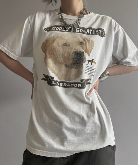 【USED】 LABRDOOR T-Shirt / 260808-020