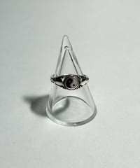 【USED】   Silver Ring / 260829-031