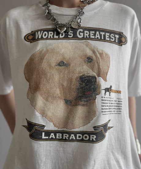 【USED】 LABRDOOR T-Shirt / 260808-020