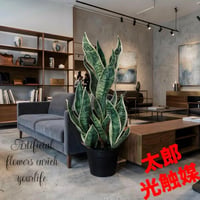 光触媒　人工観葉植物　ウォールグリーン　フェイクグリーン　サンスベリア6630
