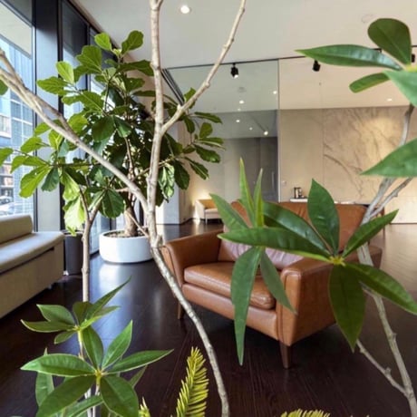 光触媒　観葉植物　ウォールグリーン　フェイクグリーン　クネクネパキラw107白鉢