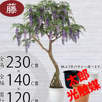 光触媒　人工観葉植物　ウォールグリーン　フェイクグリーン　藤コアッド鉢付き