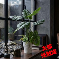 光触媒　人工観葉植物　ウォールグリーン　フェイクグリーン　oモンステラh