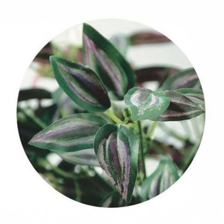 光触媒　人工観葉植物　ウォールグリーン　フェイクグリーン　サブリナ