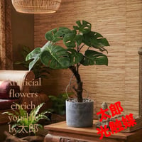 光触媒　人工観葉植物　ウォールグリーン　フェイクグリーン　モンステラポット35