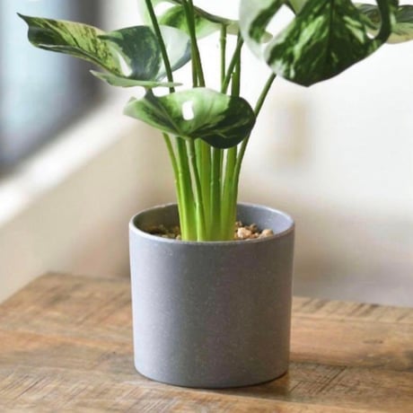 光触媒　人工観葉植物　フェイクグリーン　モンステラバリエガータ3728