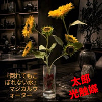 光触媒　人工観葉植物　ウォールグリーン　フェイクグリーン　マジカルウォーター6545