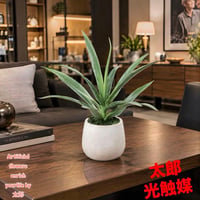 光触媒　人工観葉植物　ウォールグリーン　フェイクグリーン　ユッカポット50