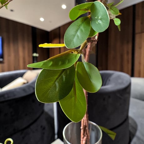 光触媒　人工観葉植物　ウォールグリーン　フェイクグリーン　マジカルウォーター1006