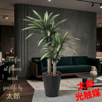 光触媒 人工観葉植物　ウォールグリーン　フェイクグリーン　幸福の木1.1