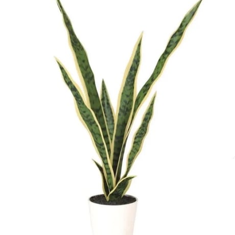 光触媒　人工観葉植物　ウォールグリーン　フェイクグリーン　サンスベリア65