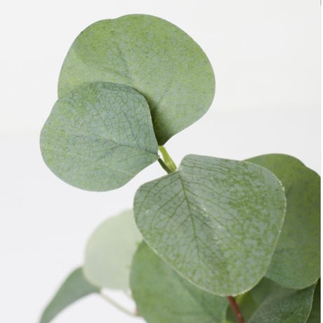 光触媒　人工観葉植物　ウォールグリーン　フェイクグリーン　ユーカリポット60