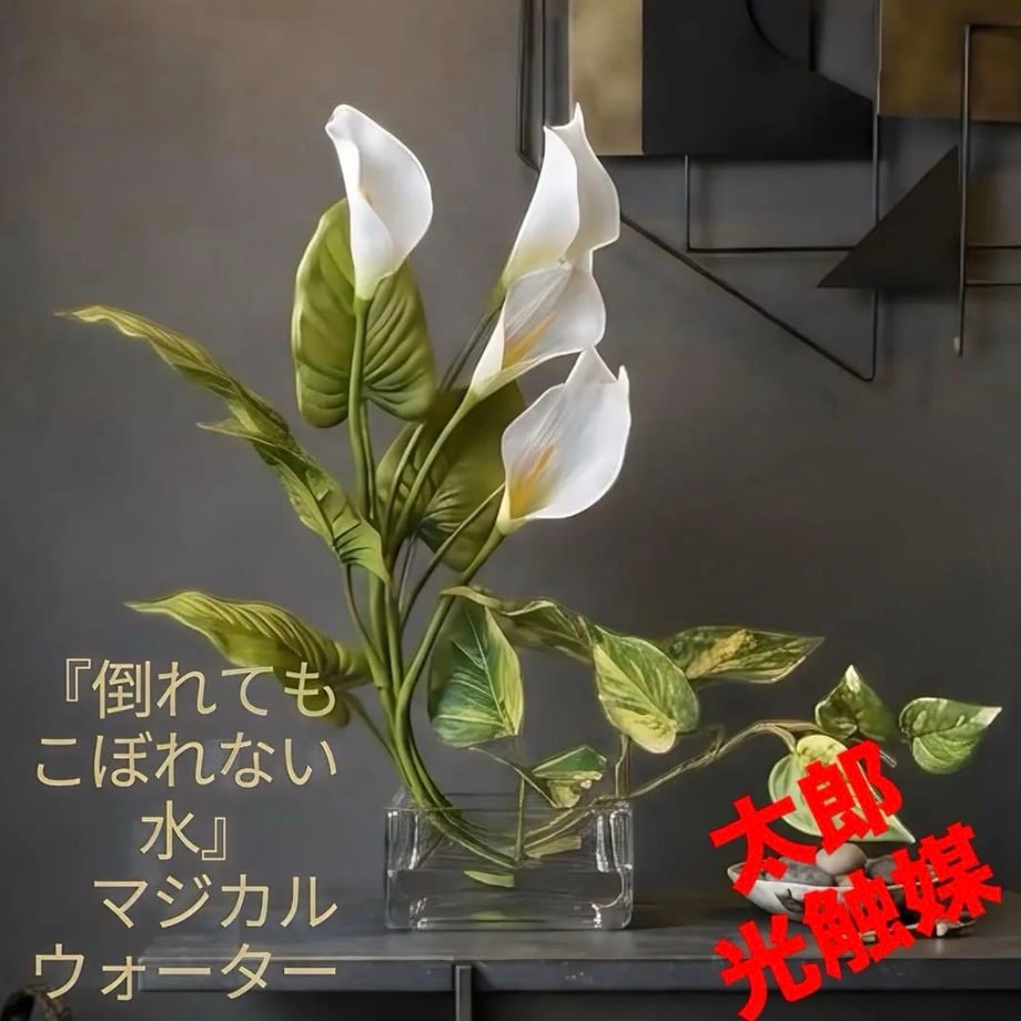 6a49964be0a19e5526f36e1f