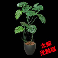 光触媒　人工観葉植物　ウォールグリーン　フェイクグリーン　ワイルドモンステラ
