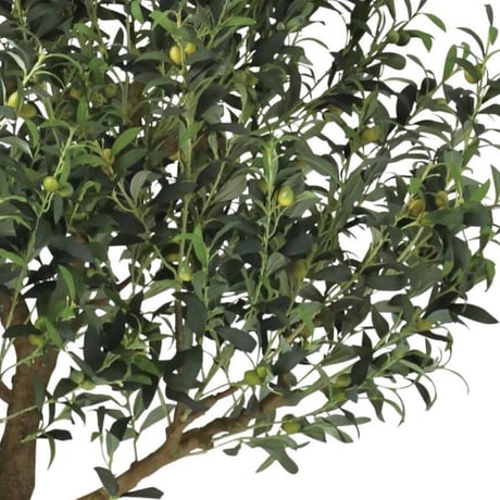 光触媒　人工観葉植物　ウォールグリーン　フェイクグリーン　ブラックオリーブ鉢付き